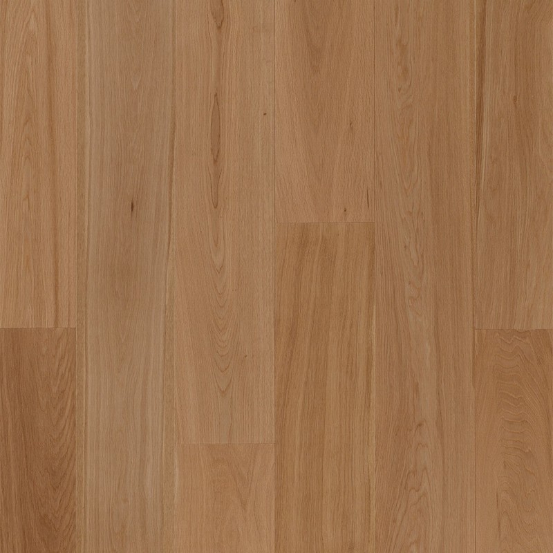 LAM-BER110.jpg